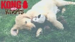 Kong Wild Knots Bear [Small] (Assorted Colours) -MRPETS Shop 1292231693 57ebd08cf30d7c2b3923c2c5543760b40cfde23089d40ef9e 295x166 3