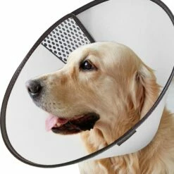 Pawise Pet E-Collar 15"-16.9" - XLarge