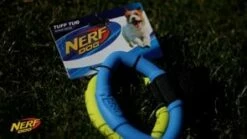 Nerf Dog Tuff Tug 2-Ring [Medium] -MRPETS Shop 1319681747 d23b2366789f55de0198431342391b5062fc363df8bbafe7b3becc01150ed8a3 d 295x166