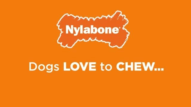 Nylabone Puppy Starter Kit 4 Nylabone Puppy Starter Kit - Image 2