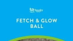 Spunky Pup Fetch & Glow Ball [Medium] (Assorted Colours) -MRPETS Shop 1322333656 1e643065d9bf125eeff19cd1308a4b54189171522faa8ce4947d0d2cd08b3fe7 d 640 1