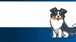 ParaPet K9 Praventa 360 Flea & Tick Treatment For Small Dogs [3 Tubes] -MRPETS Shop 1434601290 74817f62a0e21f64c648d27f41c3d3c0f9fdc827a9a6ef7da66ce20d2a3e7eab d 295x166 1 2