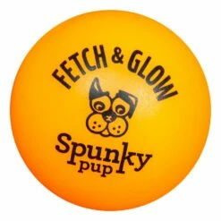 Front Page -MRPETS Shop 1948 1