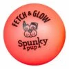 Spunky Pup Fetch & Glow Ball [Medium] (Assorted Colours) -MRPETS Shop 1957 1 copy 1
