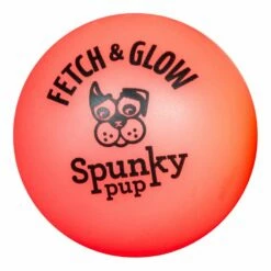 Spunky Pup Fetch & Glow Ball [Medium] (Assorted Colours)