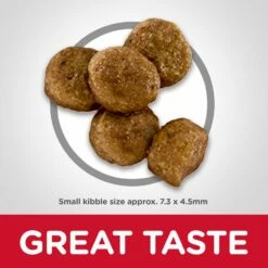 Hill's Science Diet Chicken Recipe Small Bites Puppy Food [4.5lb] -MRPETS Shop 7139 05 food shot