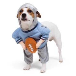 Show & Tail American Football Player (Large)