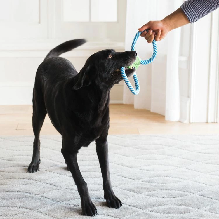 JW GiggleTug 3 JW GiggleTug