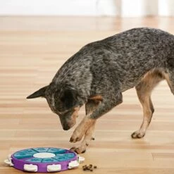 Outward Hound Nina Ottosson Dog Twister Purple 10 Outward Hound Nina Ottosson Dog Twister Purple -MRPETS Shop jgbcoxdkgeyaurqdi6fn 85710.1630122739