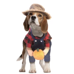 Show & Tail The Old McDog (Medium)