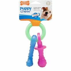 Nylabone Puppy Chew Teething Pacifier