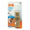 Nylabone Puppy Chew Ring Bone Chicken Flavoured [X-Small]