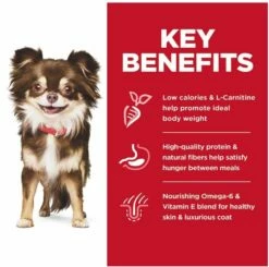 Hill's Science Diet Sensitive Stomach & Skin Chicken Small Adult Dog Food, 4lb 10 Hill's Science Diet Sensitive Stomach & Skin Chicken Small Adult Dog Food, 4lb -MRPETS Shop sdsmall4